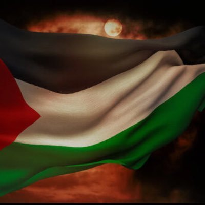 Teenage284516's profile picture. X7LVBK8Y