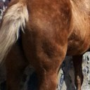 Erasmo Vega - @movimientoalte - Twitter