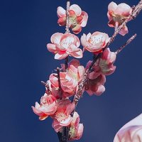 ์์ ํ (@vchin_nom) 's Twitter Profile Photo ์์ ํ (@vchin_nom) 's Twitter Profile Photo