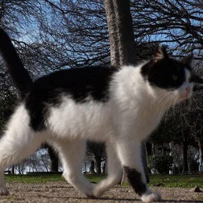 IWeb343424's profile picture. Empty