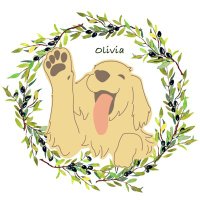 オリビア🫒 (@o0_olivia) Twitter profile photo