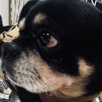 JaoJen_nxz's profile picture. Pailiu's Onlyzhu