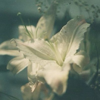 CrAzyGi43949549's profile picture. 19 | #shtwt & #edtwt | OCD and BPD are ruining my life. og acc was @ViolaDinklez