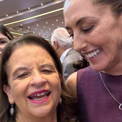 Diputada federal suplente en la LXVI Legislatura y exdiputada en la LXV por el @PartidoMorenaMx | Investigadora del Instituto de Salud Pública de la UV