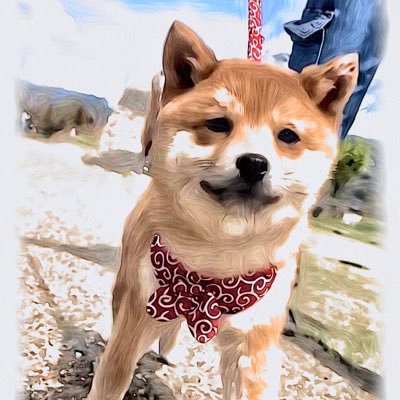 cheeco1920's profile picture. 年々増す生き辛さ #QOL向上 /調理師＆カナダ臨床検査技師アシスタントの経歴だから #薬膳 #漢方 とかが好き /  #カナダ移住 10年後出戻り/#DXアップ の #Webマーケティング コース修了/ #勤労主婦 /ご縁あって #豆柴 多頭飼い/ 等をつぶやきます。