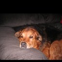 penny burnham - @pnalope - Twitter