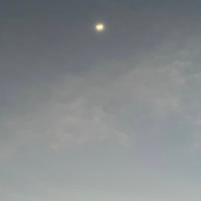 miiinameis's profile picture. 