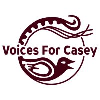 Voices for Casey (@voicesforcasey) 's Twitter Profile
