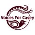 Voices for Casey (@VoicesforCasey) Twitter profile photo