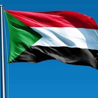 HindAhmed834773's profile picture. 