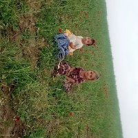 Abdull samad Rohani (@abdullroha82912) 's Twitter Profile