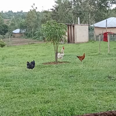 ndonj69's profile picture. Simple and down to earth person