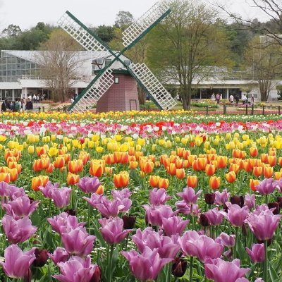 季節により表情を変える4,500種類の花と緑が憩いの空間を提供する、全国でも有数の花の公園。