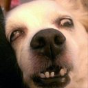 Kitty - @NadineBarr33315 - Twitter