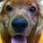 estella0124's profile image