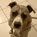 donna brand - @ishtarulz - Twitter