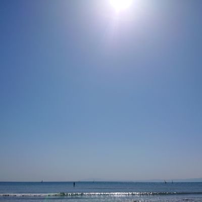 欧米で働き暮らした経験から、日本の外国人問題に危機感を持っています。
いいねとリポスト中心です。
支持政党なし