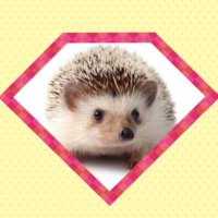 ゆう (@coach_yugo) Twitter profile photo