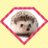 coach_yugo