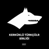 Kerküklü Türkçüler(@kerkukturkculer) 's Twitter Profile Photo