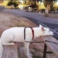 Leo (@leo2028_) 's Twitter Profile