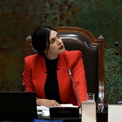 Presidenta de la Cámara de Diputadas y Diputados de Chile 🇨🇱