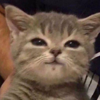 mondayborn08's profile picture. 