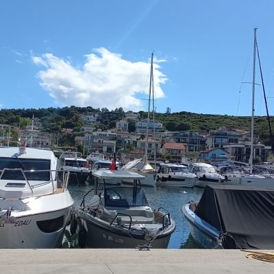 Ntrn72's profile picture. 