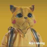 halvingxrpp89's profile picture. Crypto trader, navigating the exciting and unpredictable digital market