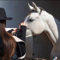 ARYAM (@ud_22d) 's Twitter Profile