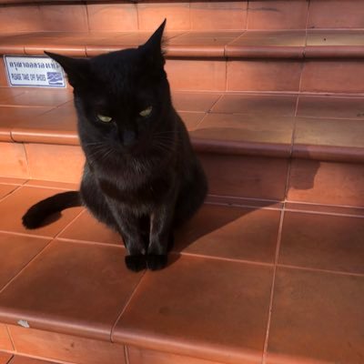 TTTaarr123's profile picture. 🙃🍪🍪🍪🙃