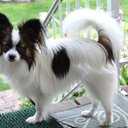 Terry Whitten - @terry_whitten - Twitter