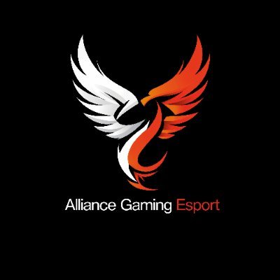 🎮 #AllianceGamingEsport | Votre hub pour l'esport et le gaming en France 🇫🇷 | Rejoignez nous sur Discord pour tournois, aide au streamer et concours ! 🏆🤝