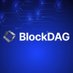 BlockDAG Network Support ✪ (@BerniceMay91551) Twitter profile photo