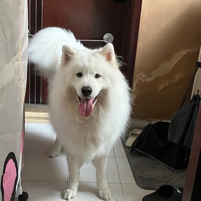 TinaCherry0117's profile picture. 