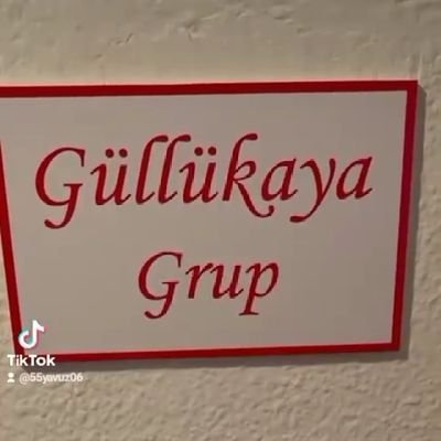 uluslar arası ticaret , ithalât ihracat , gayrımenkul alım satım danışmanlik , turizim , otomotiv sektöründe faaaliyet göstermektedir..