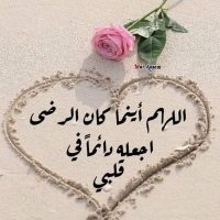 Walaa Ahmed (@walaaahmed8177) 's Twitter Profile