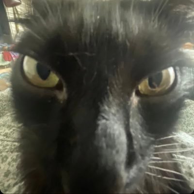 JadeGrate23's profile picture. 