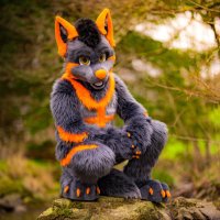 Dyrex (@dyrex8) 's Twitter Profile