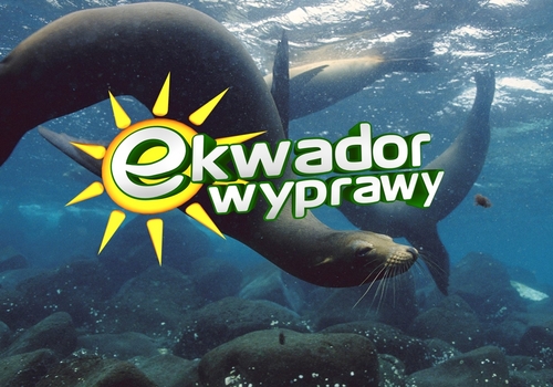 Stworzyliśmy tę stronę aby pokazać  Państwu uroki Ekwadoru, piękno natury oraz kulturę jego mieszkańców. Zapraszamy w podróż w głąb tego pełnego magii kraju.