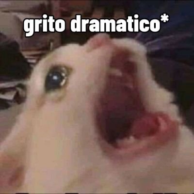 loola312's profile picture. 