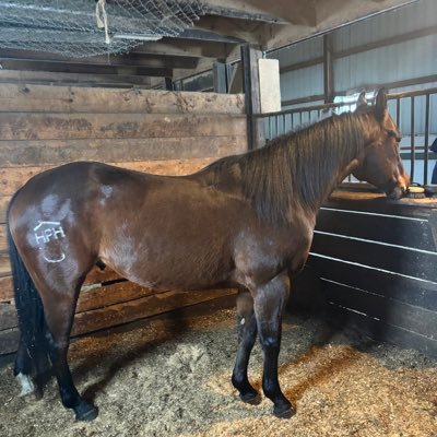 mwilson2154's profile picture. 