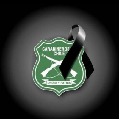 TomilloMax's profile picture. Doglover 🇨🇱 #TodosConCarabineros