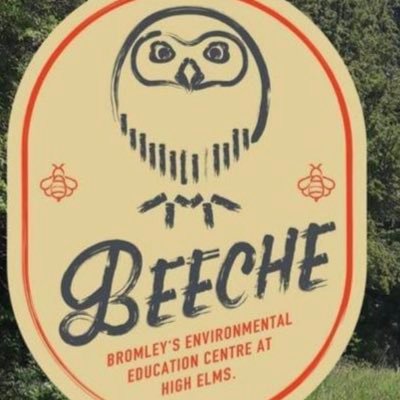 BEECHE delivers education to all ages on the wonderful wildlife of the UK. From schools, short courses and birthday parties.