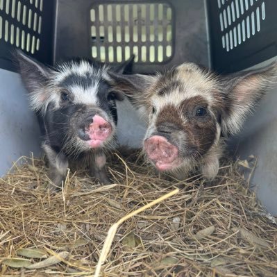 annacooper930's profile picture. 