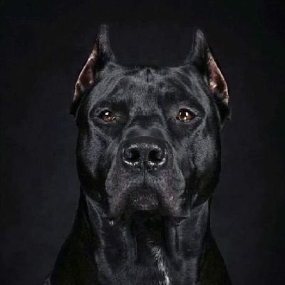 De20Marie's profile picture. Honnêteté , franchise. 
Amour inconditionnel pour les Animaux et la Nature.
Je n'appartiens ni de près ni de loin à un quelconque  parti politique 🤢🤮