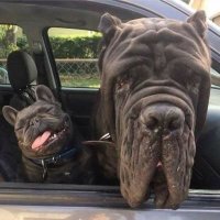 James P Kelley II (@jimmynuggsii) 's Twitter Profile