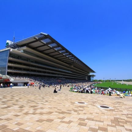 ほぼほぼ外れる競馬予想