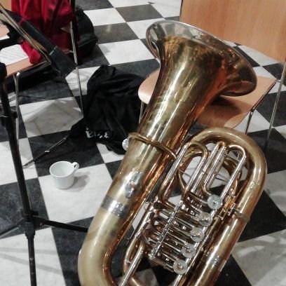 The world's leading bass trombone and tuba playing, Christian, transgender, gardener, she/her 🇪🇺 🏳️‍⚧️ 🏳️‍🌈🏴‍☠️🇲🇹