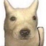 또띠さんのプロフィール画像